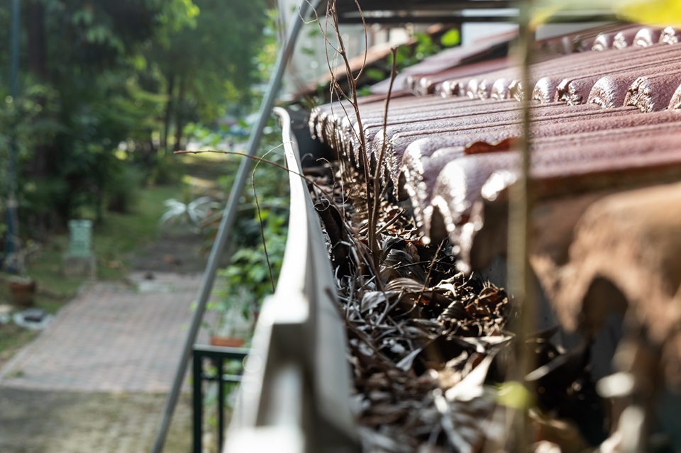 The Hidden Damage Clogged Gutters Cause to Byhalia, MS Homes